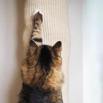 Klimzak voor katten 180 cm sisal
