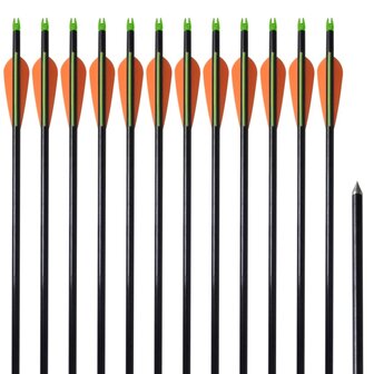 Pijlen compoundboog standaard 30&amp;quot; 0,8 cm glasvezel 12 stuks