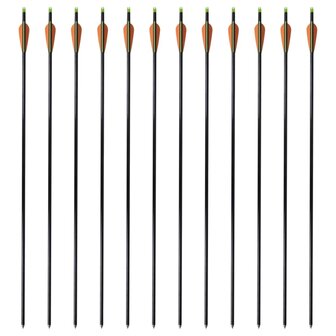 Pijlen compoundboog standaard 30&amp;quot; 0,8 cm glasvezel 12 stuks