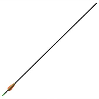 Recurveboog standaard met pijlen 30&amp;quot; 0,6 cm glasvezel 12 stuks