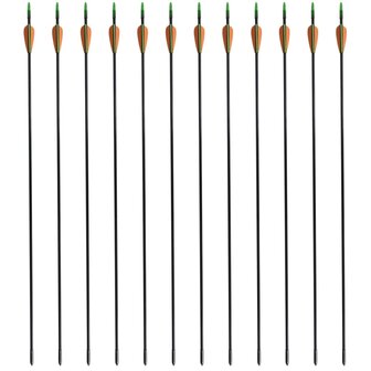 Recurveboog standaard met pijlen 30&amp;quot; 0,6 cm glasvezel 12 stuks