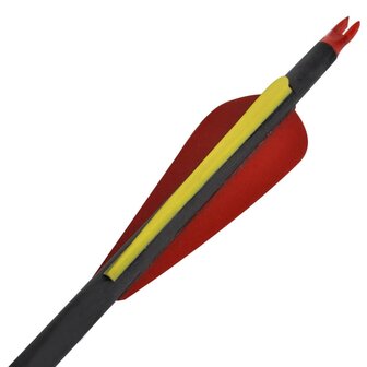 Pijlen voor recurveboog standaard 30&amp;quot; 0,76 cm koolstof 12 stuks
