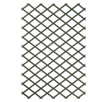 Tuinlatwerken 2 st 100x200 cm hout groen