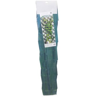 Tuinlatwerken 2 st 100x200 cm hout groen