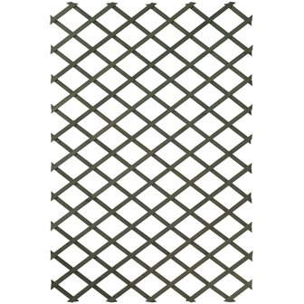 Tuinlatwerken 2 st 50x150 cm hout groen