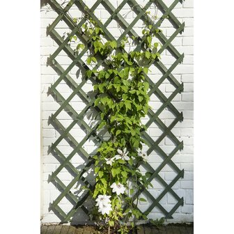 Tuinlatwerken 2 st 50x150 cm hout groen