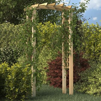 Tuinboog 110x60x210 cm ge&iuml;mpregneerd massief grenenhout