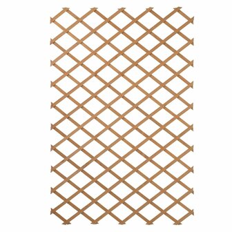 Latwerk voor tuin 100x200 cm natuurlijk hout 6041703