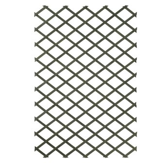 Plantenklimrek 100x200 cm hout groen 6041704