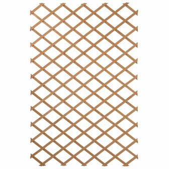 Tuinlatwerk 50x150 cm hout natuurlijk