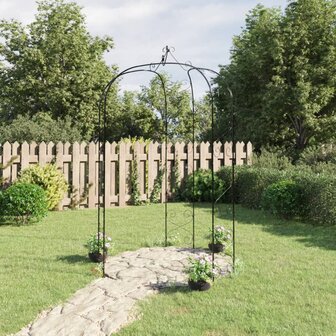 Tuinboog &Oslash;180x255 cm staal zwart