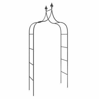 Tuinbogen 2 st 120x38x260 cm staal zwart
