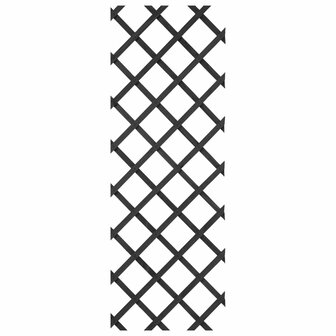 Tuinlatwerk 50x150 cm hout antracietkleurig
