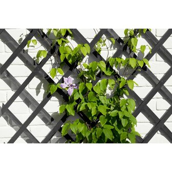 Tuinlatwerk 50x150 cm hout antracietkleurig