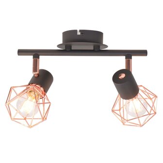 Plafondlamp met 2 LED&#039;s 8 W