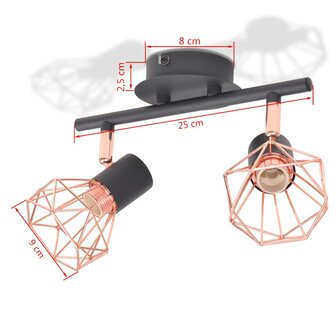 Plafondlamp met 2 LED&#039;s 8 W