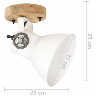 Wand-/plafondlampen industrieel 2 st E27 20x25 cm wit