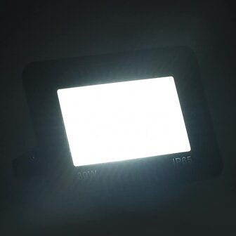 Spotlight LED 30 W koudwit
