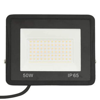 Spotlight LED 50 W koudwit