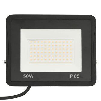 Spotlights 2 st LED 50 W koudwit