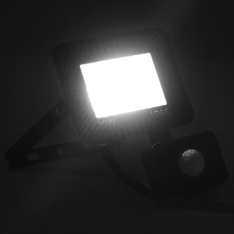 Spotlight met sensor LED 20 W koudwit
