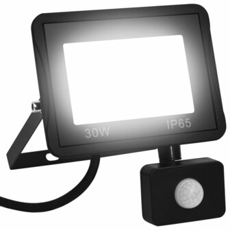 Spotlight met sensor LED 30 W koudwit