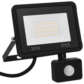 Spotlight met sensor LED 30 W koudwit