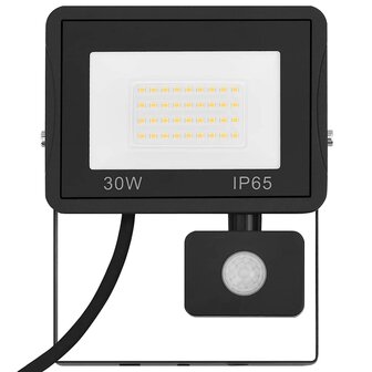 Spotlight met sensor LED 30 W koudwit