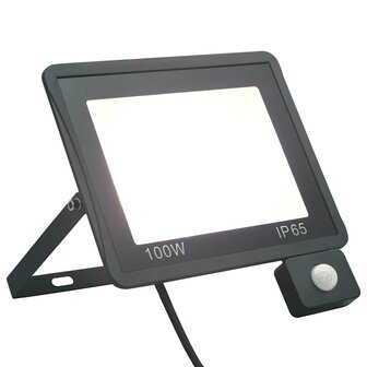 Spotlight met sensor LED 100 W koudwit