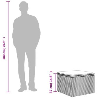 Tuinkruk met kussen 55x55x37 cm poly rattan zwart