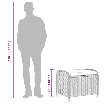 Tuinkruk met kussen 58x46x46 cm poly rattan bruin