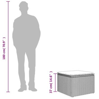 Tuinkruk met kussen 55x55x37 cm poly rattan lichtgrijs