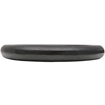 Halterschijven 2 st 2x10 kg gietijzer