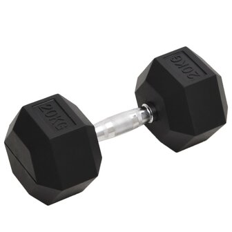 Halters 20 kg gietijzer