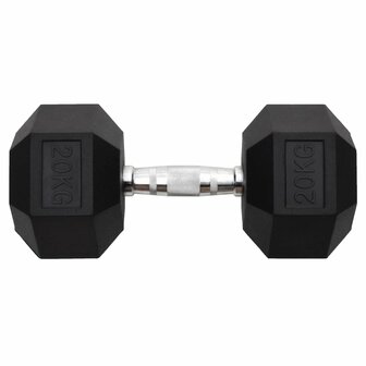 Halters 20 kg gietijzer