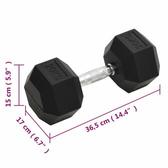 Halters 20 kg gietijzer