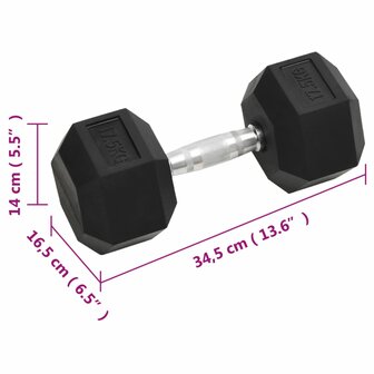 Halters 17,5 kg gietijzer