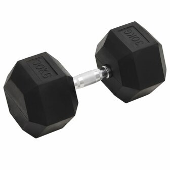 Halters 30 kg gietijzer