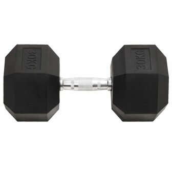 Halters 30 kg gietijzer