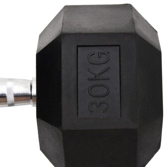 Halters 30 kg gietijzer
