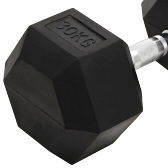 Halters 30 kg gietijzer