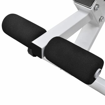 Trainingsbank met halterset 60,5 kg