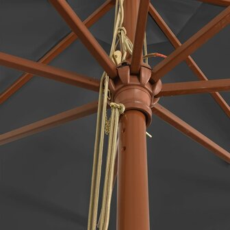 Parasol met houten paal 400x273 cm antracietkleurig