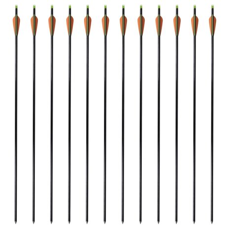 Pijlen compoundboog standaard 30&quot; 0,8 cm glasvezel 12 stuks
