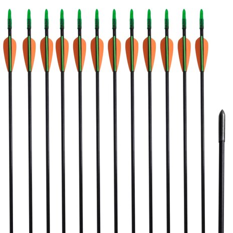 Recurveboog standaard met pijlen 30&quot; 0,6 cm glasvezel 12 stuks
