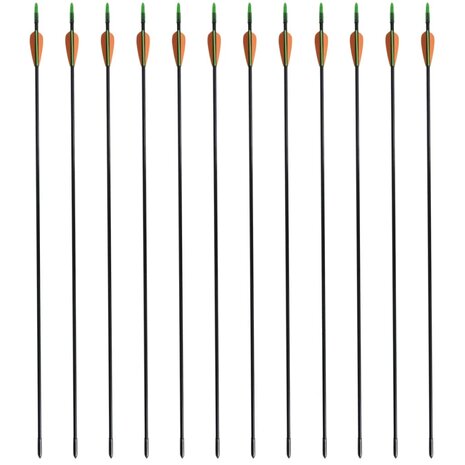 Recurveboog standaard met pijlen 30&quot; 0,6 cm glasvezel 12 stuks