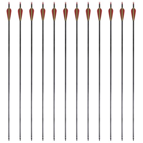 Pijlen voor recurveboog standaard 30&quot; 0,76 cm koolstof 12 stuks
