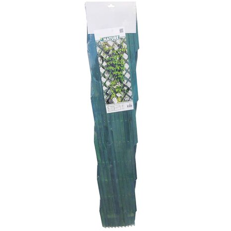 Tuinlatwerken 2 st 100x200 cm hout groen