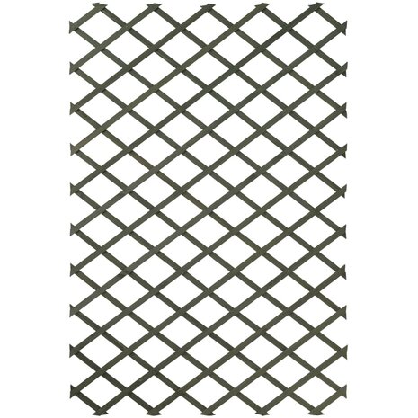 Tuinlatwerken 2 st 50x150 cm hout groen