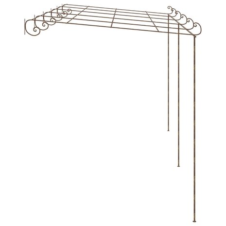Tuinpergola 6x3x2,5 m ijzer antiekbruin